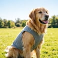 thumbnail image 6 of Sleeveless Dog Tank Top Summer Breathable Plain Pet Vest Machine Washable Soft Cotton Puppy T-Shirt for Small Medium Dogs Cats Indoor Outdoor Daily Wear, 6 of 6