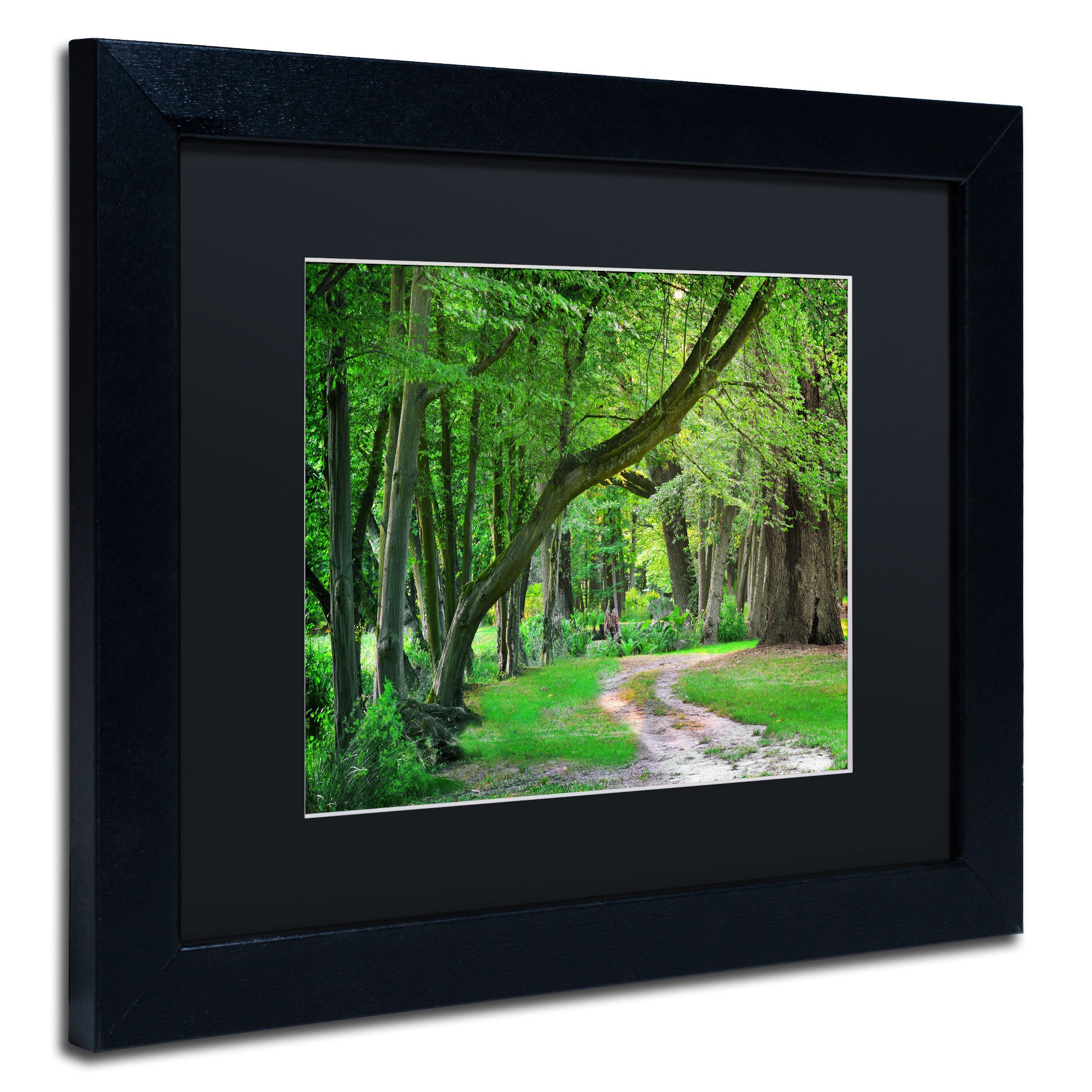 Trademark Fine Art "Intimate Landscape" Canvas Art by Philippe Sainte-Laudy, Black Matte, Black Frame