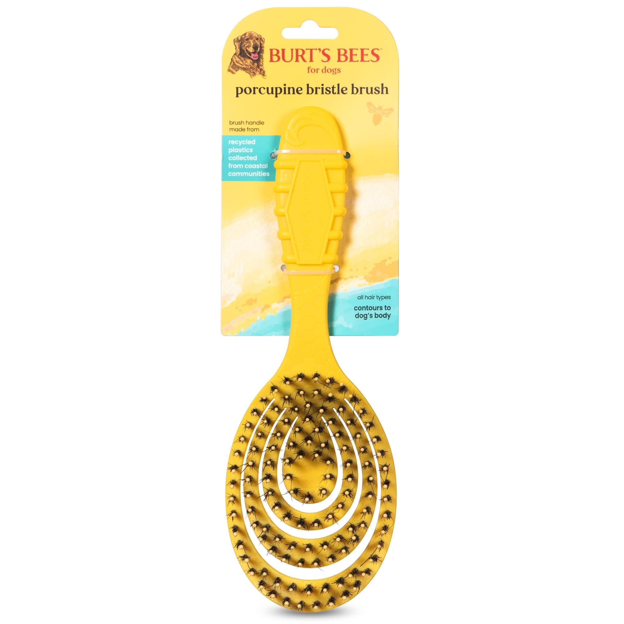 Burt's Bees for Pets Porcupine Bristle Brush for Large Dogs, Large