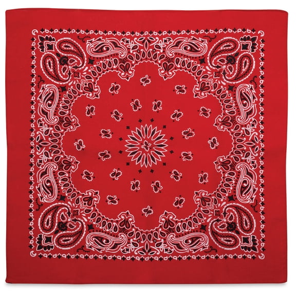 Carolina Paisley Bandana - Red