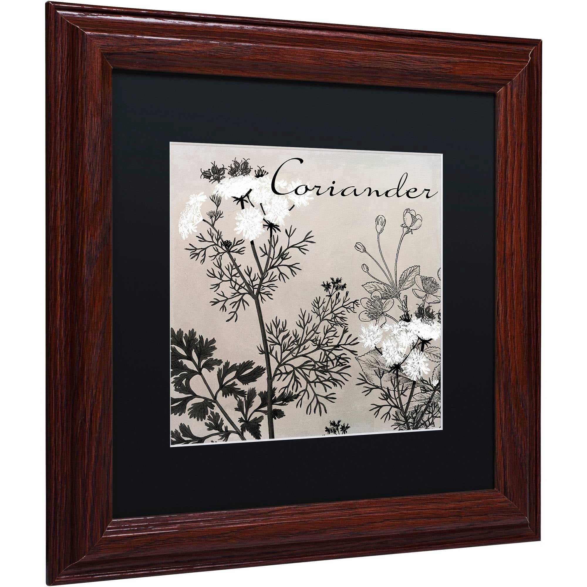Trademark Fine Art "Flowering Herbs IV" Canvas Art by Color Bakery Black Matte, Wood Frame