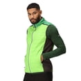 thumbnail image 4 of Regatta Mens Halton Baffled VII Colour Block Padded Gilet, 4 of 7
