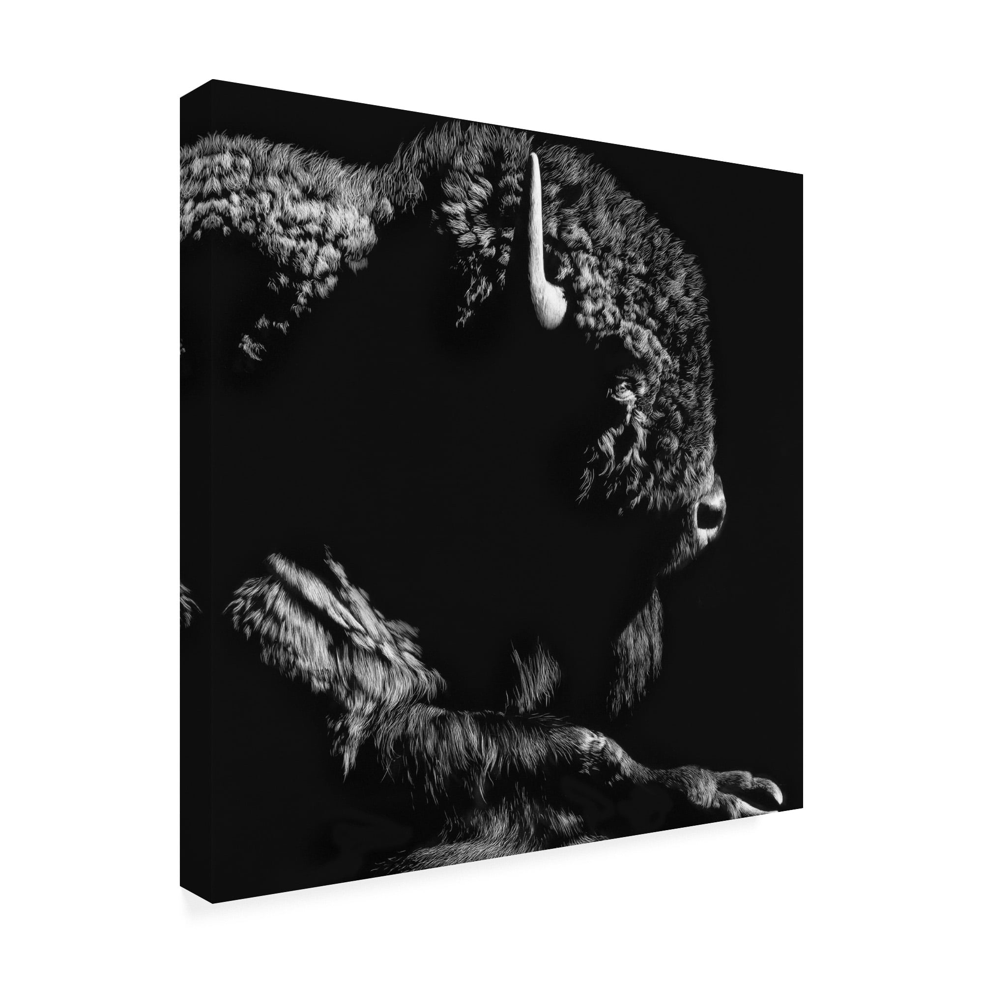 Trademark Fine Art 'Just Chillin Buffalo' Canvas Art by Julie Chapman