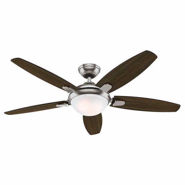 Hunter Conduit 54 Po Ventilateur de Plafond Contemporain