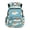Cartoon Capybara & Palm Tree Print, variant on Chririnla Lightning Storm Print Bookbag with Padded Strap, Lightweight Multi-Pocket 17 Inch Travel Bag for School Back to School