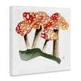 thumbnail image 4 of Stupell Industries Dotted Red Mushrooms Plants & Flowers Painting Wrapped Canvas Art Print Wall Art, 36 x 36, 4 of 8