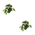 thumbnail image 3 of Plantas artificiales Toystoory Hoja de tortuga Planta falsa Hojas falsas para boda Sala de estar Jardín Decoración de pared, 3 of 6