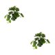 thumbnail image 1 of Plantas artificiales Inteprter hoja de tortuga decoración de hogar, 1 of 6