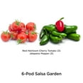 thumbnail image 2 of AeroGarden Salsa Garden Seed Pod Kit (6-Pod) 6-Pod, 2 of 5
