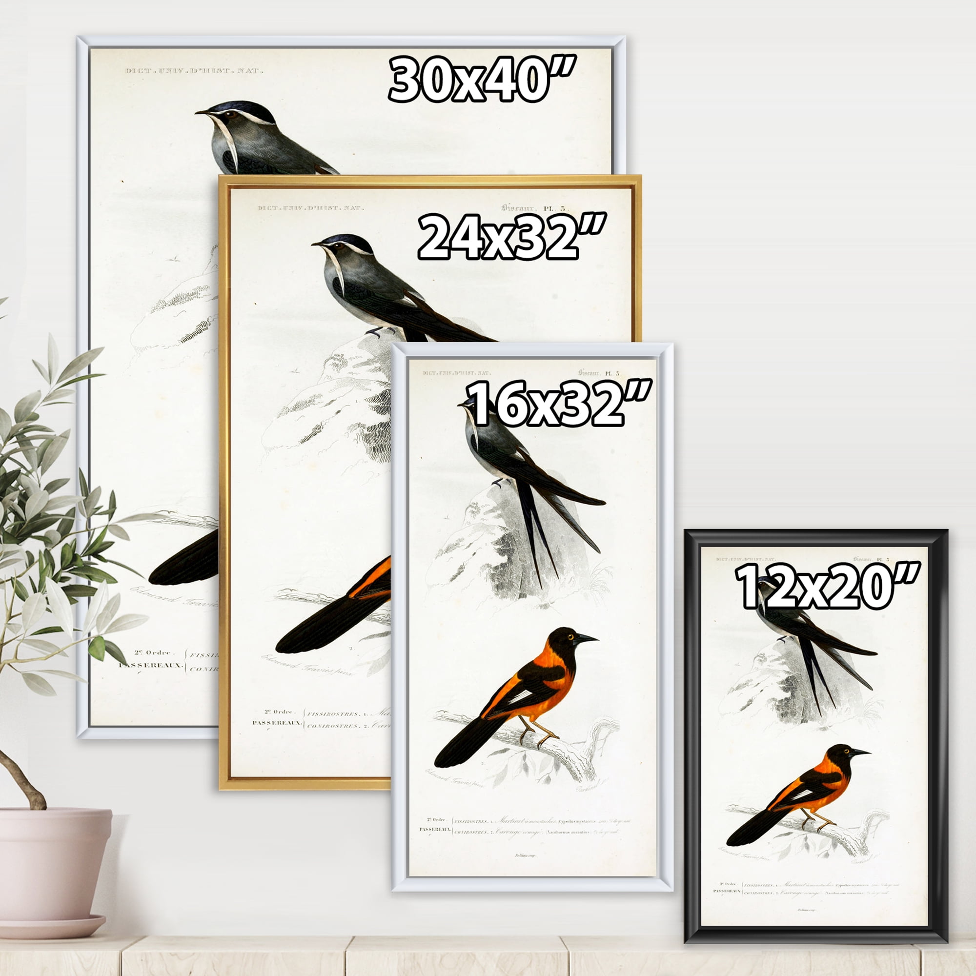 Ancient Bird II 12 in x 20 in Framed Painting Canvas Art Print, by Designart