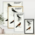 thumbnail image 4 of Designart 'Ancient Bird II' Traditional Framed Canvas Wall Art Print, 4 of 5