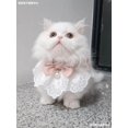 thumbnail image 2 of Ropa para gatos, vestido de primavera y verano, falda de hada para gatos Ragdoll, decoración de verano para gatitos y gatitos, 2 of 5