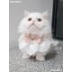 thumbnail image 2 of Ropa para gatos, vestido de primavera y verano, falda de hada para gatos Ragdoll, decoración de verano para gatitos y gatitos, 2 of 5