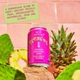 thumbnail image 3 of De La Calle Tepache, Cactus Prickly Pear, Modern Mexican Soda, 12oz, 12 Pack, 3 of 9