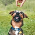 thumbnail image 5 of Blue Dog Bakery Perfect Trainers Beef Soft Training Biscuit Natural Dog Treats, 6 oz Bag, 5 of 6