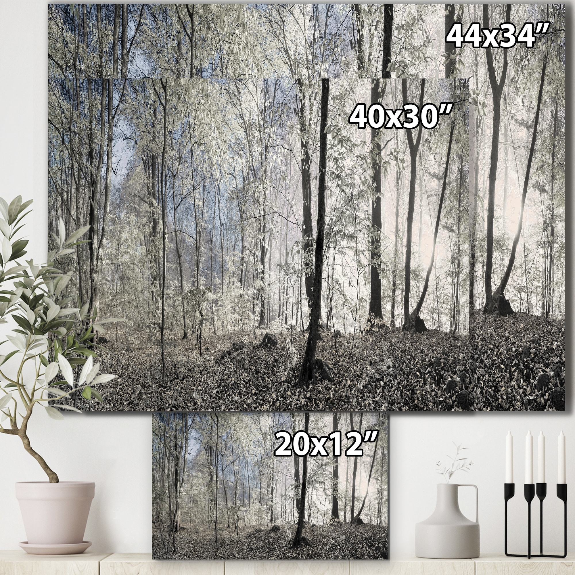 Designart 'Dark Morning in Forest Panorama ' Landscape Canvas Art Print