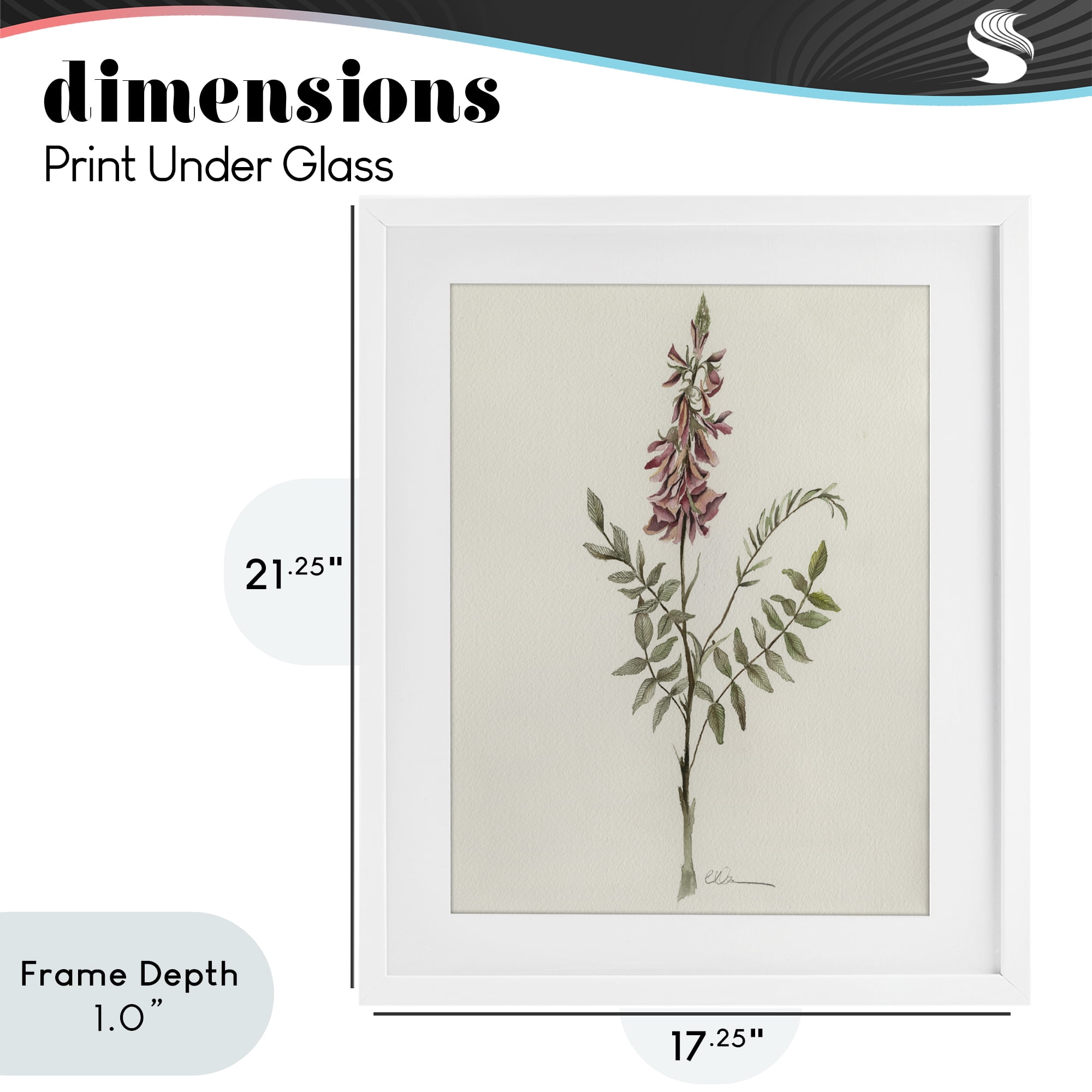 Stupell Industries Nature's Delicate Herb Sprig White Framed Print Under Glass, design by Cady Driver