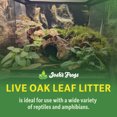 thumbnail image 3 of Josh's Frogs Live Oak Leaf Litter (1 Gallon), 3 of 7