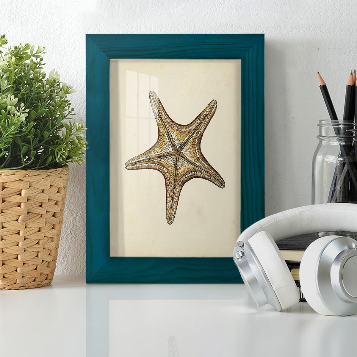 Sealife Collection IV - Framed Print w/glass - Ocean Blue