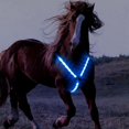 thumbnail image 3 of Dalazy Collier de Poitrine de Cheval à LED Réglable Harnais Haute Visibilité Extérieur Bleu, 3 of 5