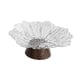 thumbnail image 4 of Frutero de pedestal, frutero de base alta, bandeja moderna para servir verduras Blanco, 4 of 9