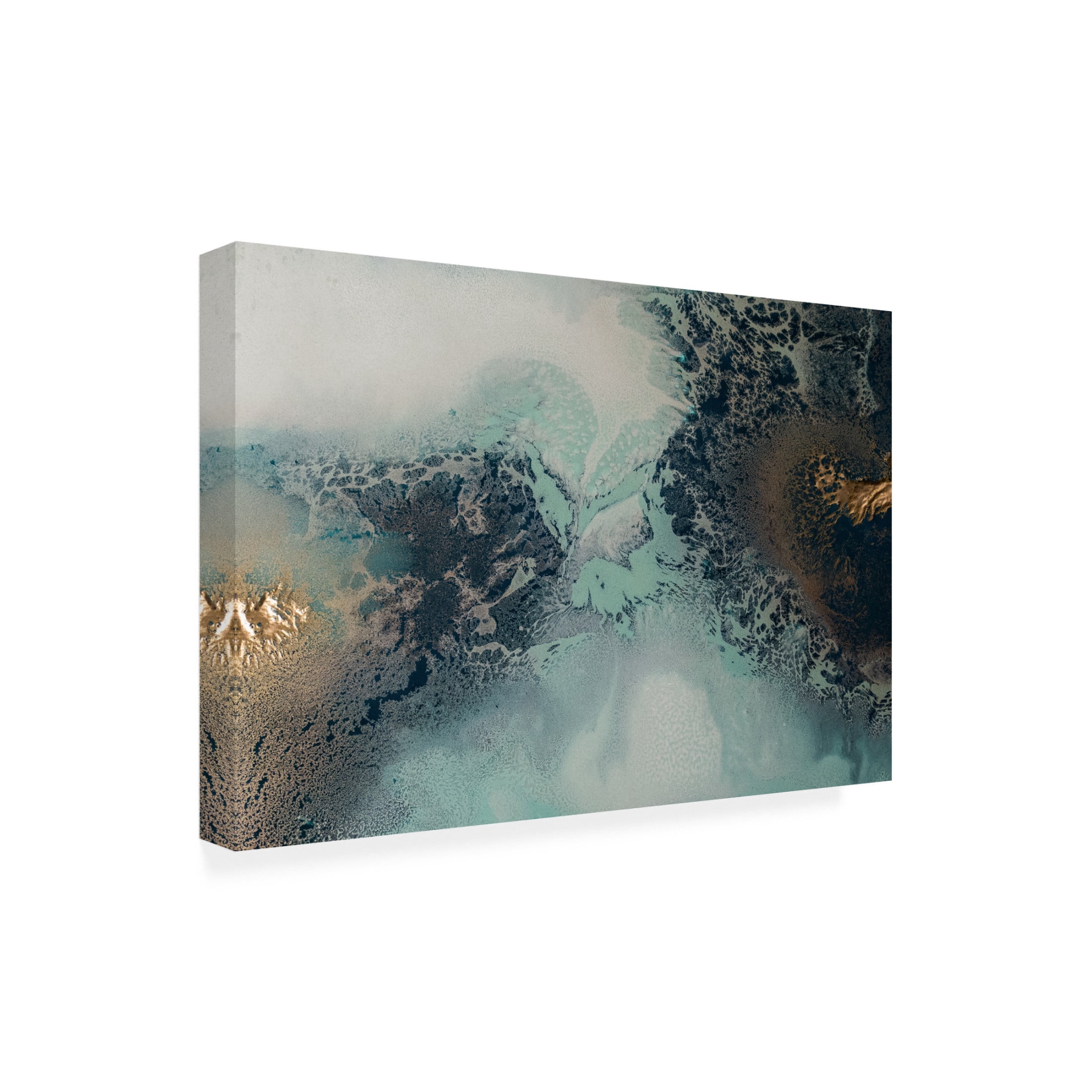 Canvas Wall Art - Petra Meikle de Vlas 'Transition' Wall Art for Living Room, Bedroom, or Office Décor by Trademark Fine Art - 47 x 30 Inches