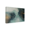 thumbnail image 2 of Canvas Wall Art - Petra Meikle de Vlas 'Transition' Wall Art for Living Room, Bedroom, or Office Décor by Trademark Fine Art - 47 x 30 Inches, 2 of 4