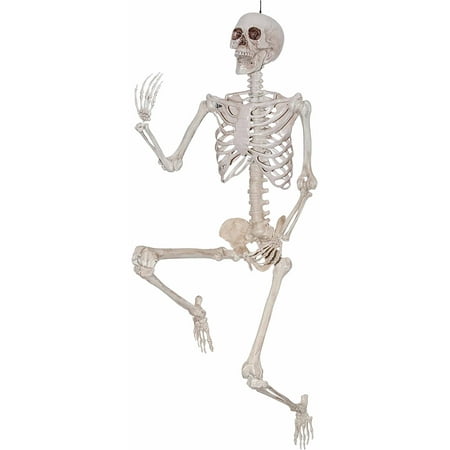 Way To Celebrate Halloween Hanging Posable Skeleton, 5'