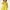 Yellow, variant on Tdoqot Toddler Flower Girls Dress- Midi Dreess Crewneck Cute Sleeveless Summer Casual Dresses Red Size 4T
