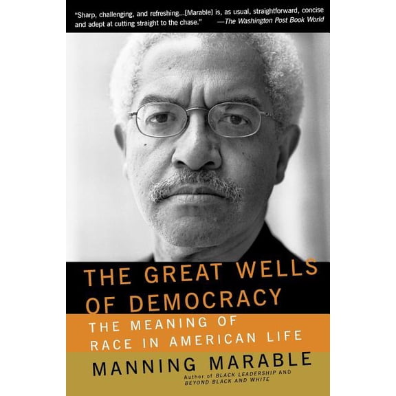 The Great Wells of Democracy: The Meaning of Race in American Life, (Paperback)