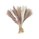 thumbnail image 2 of Ramo de 60 Flores Secas, Hierba de La Pampa Natural, Decoración Bohemia para El Hogar, Ideal para Sala de Estar o Baño, Elegante Jarrón Decorativo, Perfecto para Ocasiones Especiales, 43 Cm, 2 of 7