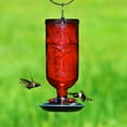 thumbnail image 6 of Perky-Pet 16 oz Red Antique Bottle Hummingbird Feeder, 6 of 7