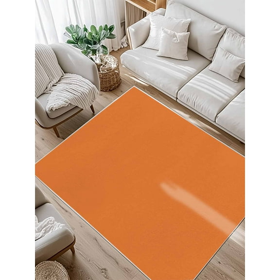 Orange Area Rug for Bedroom 5x7 Ft Solid Color Super Soft fuzzy Throw Rug Non-Slip Fluffy Plush Indoor Floor Carpet for Living Room Nursery Home Decor
