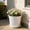 White, variant on Retro Faux Ceramic er, Breathable Root Control Pot For Indoor Outdoor Green s, Decorative Flower Pot For Home Office Decor