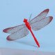 thumbnail image 5 of 60 Piezas de Mariposas de Jardín, Estacas Y 4 Piezas, Libélulas, Estacas, Adornos de Jardín para Patio, Patio, Decoraciones de Fiesta, Totalmente 24 Piezas, 5 of 8