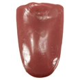 thumbnail image 3 of Bewildely Lengua falsa Horror Simulado Lenguas Trucos Halloween Horrible Magos Novetly Bromas Juguetes Niños Accesorios Juegos de imaginación, 3 of 6