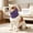 Purple, variant on New!Calming Soundproof Pet Ear Muffs, Anxiety Relief Noise Cancelling Headband for Dogs & Cats, Stress Relief Wrap for Thunder, Fireworks, Loud Events,Pink,S