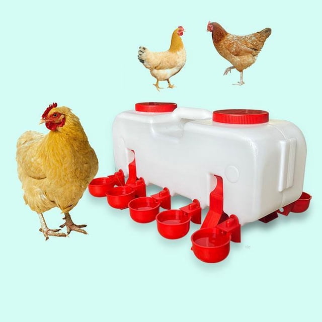 Bedero para pollos, Alimentador de Agua para Aves de Corral de Gran Capacidad de 10 Litros con 10 Tazas de Agua, Orificios Preferados, Evita Ranuras de Acumulación de Agua,