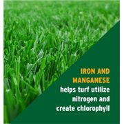 The Andersons Professional 24-0-11 2% Iron Deep Green Fertilizer with NS-54 Nitrogen 40 lb Bag 10,000 sq ft