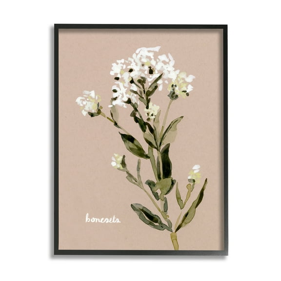 Stupell Industries Boneset Flower Sprig Nature Botanical & Floral Painting Black Framed Art Print Wall Art
