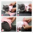thumbnail image 4 of Traje de recuperación profesional para gatos Ropa quirúrgica para heridas abdominales Diseño de rejilla para gatos Collar Cono Sustituto después de la cirugía （Rosa） BRI Rojo Verde, 4 of 5
