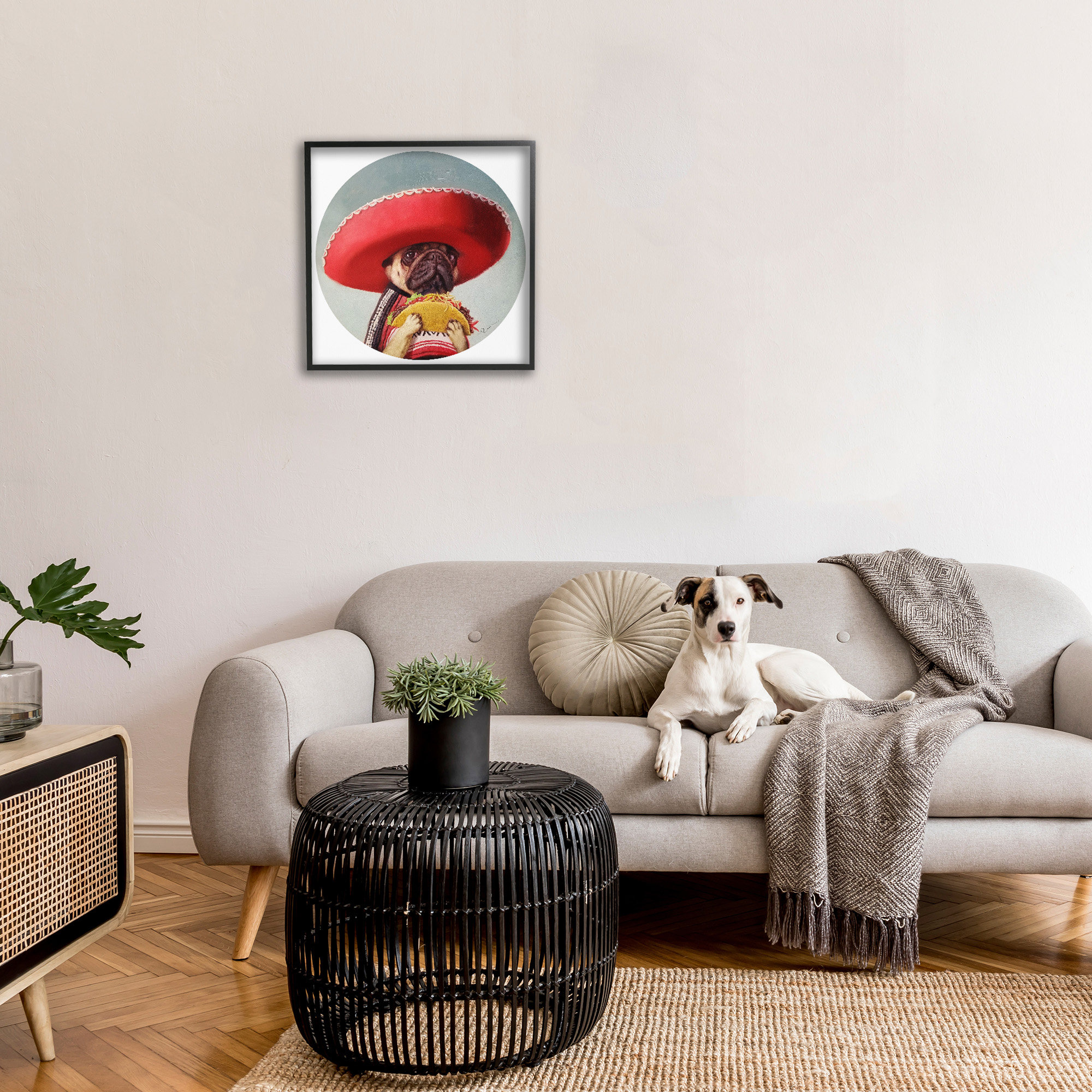 Stupell Industries Pug in Sombrero with Taco Animals & Insects Painting Black Framed Art Print Wall Art, 24 x 24