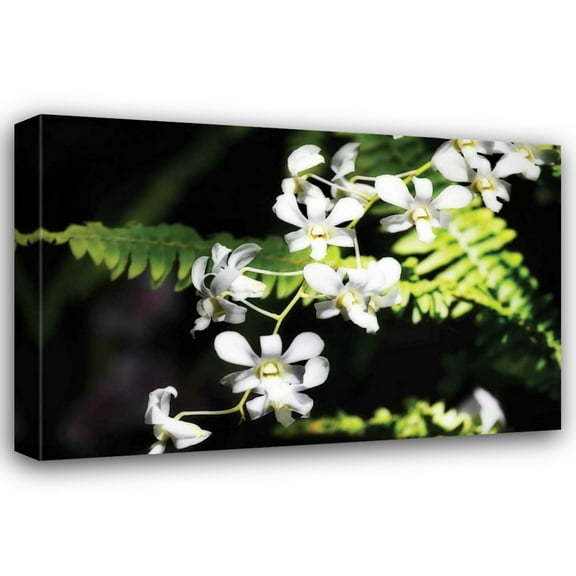 Alan Hausenflock 18x13 Gallery Wrapped Canvas Wall Art Titled - Vanda Orchids I