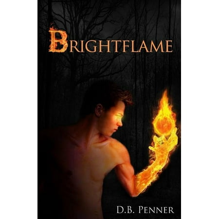 Heroes of Gammalgard Brightflame Book 1 (Paperback)