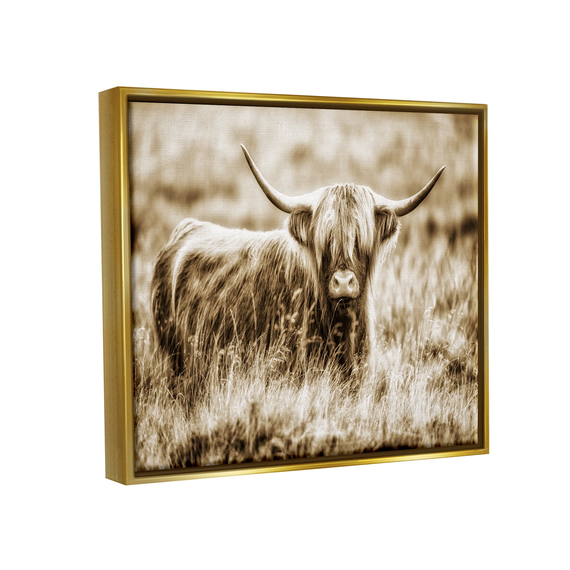 Stupell Industries Vintage Cow In Pasture Animal Photo Metallic Gold Framed Floating Canvas Wall Art, 24x30, by Villager Jim