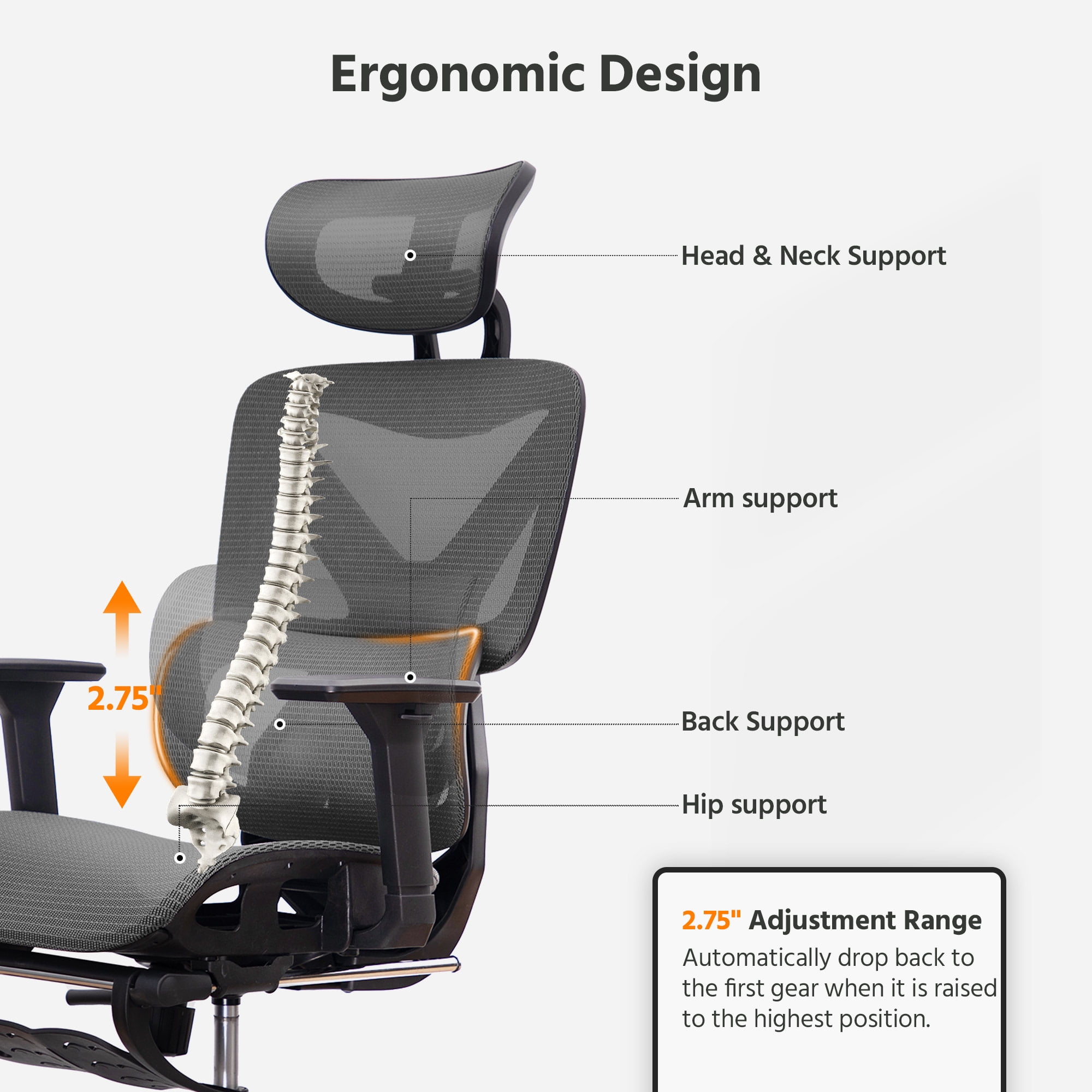 LAUSAINT HOME Ergonomic Office Chair,  High Back Desk Chair with Adjustable Lumbar Support & Retractable Footrest, Black