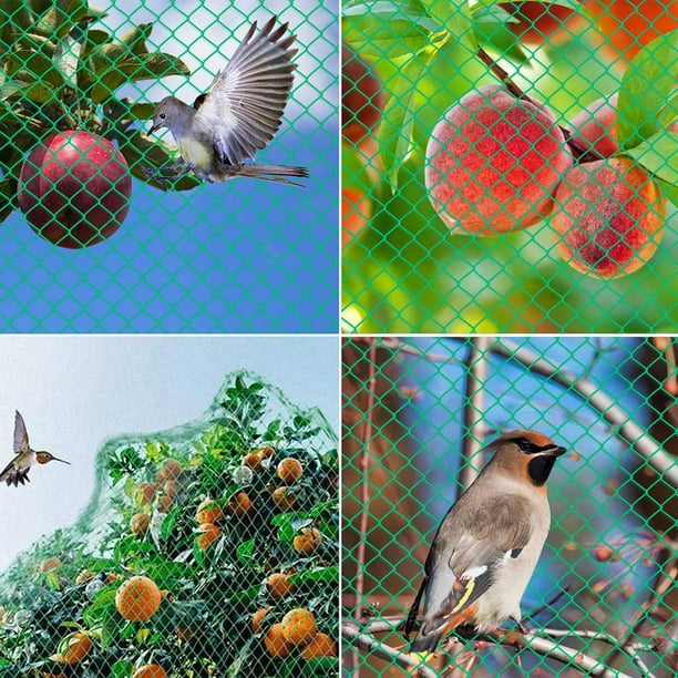TB&W Anti Bird Catcher Net Garden Netting Protect Fruit Tree Mesh Fencing  (2x5m) 