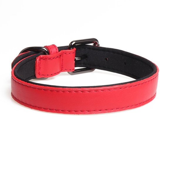 Leather dog collar, adjustable padded pet collar with alloy clasp