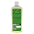 thumbnail image 2 of SHAMPOO NATURISTA Cuarzo CHILE Y AJO 550 ML, 2 of 2