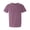 BERRY_CC, variant on Trenditee Unisex Hooked on Jesus Fishing Graphic Comfort Colors Crew Neck T-Shirt